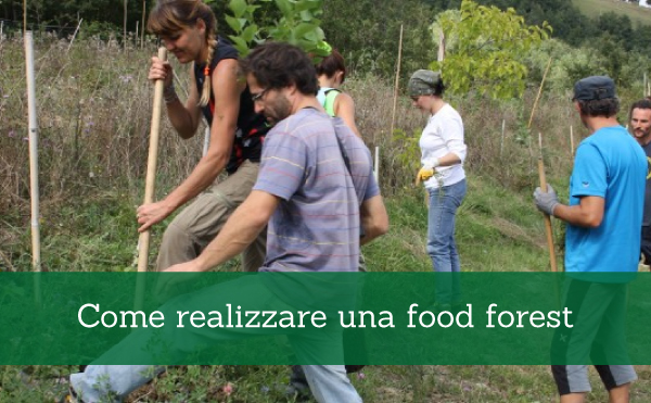 COME REALIZZARE UNA FOOD FOREST (Foresta Commestibile) - Edizione 2016